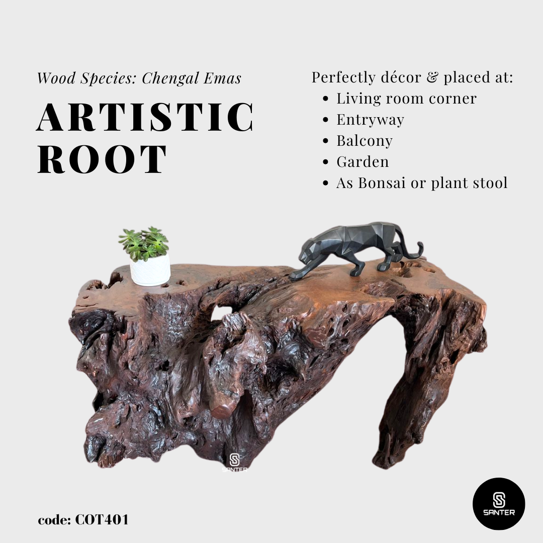 COT401. Chengal Emas Artistic Root Console / Artistic Wood Stump