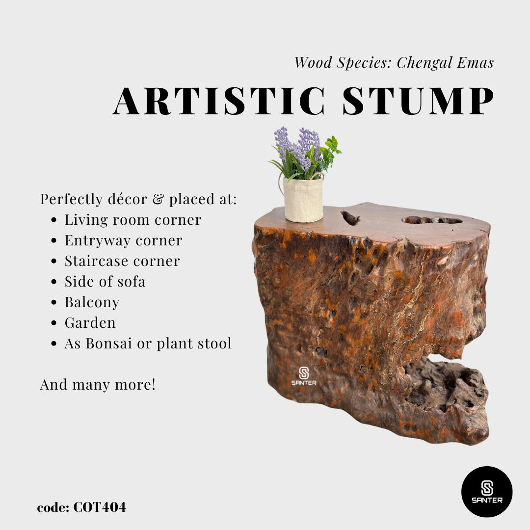 COT404. Chengal Emas Artistic Wood Pedestal/ Wood Stump