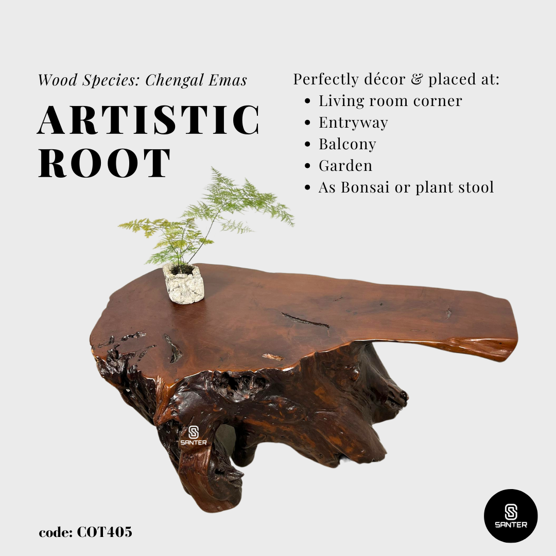 COT405. Chengal Emas Artistic Root Stump / Root Console / Coffee Table / Wood Decor
