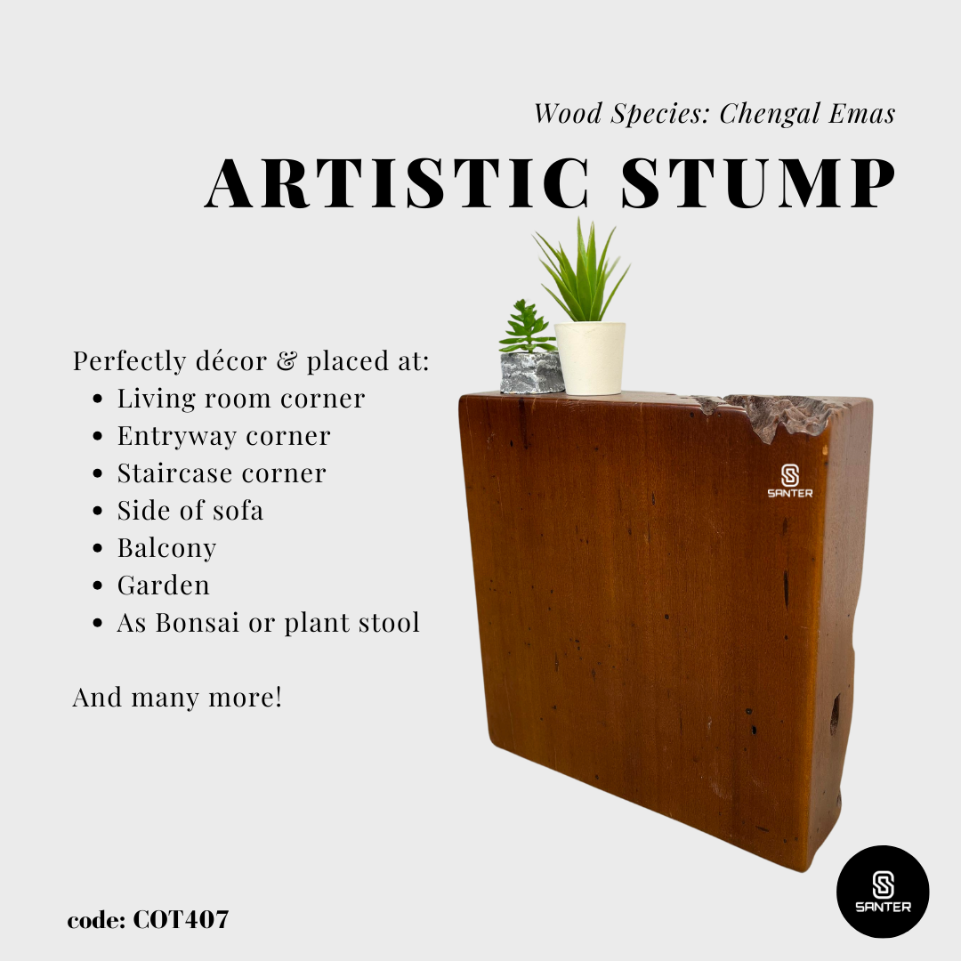 COT407. Chengal Emas Artistic Wood Pedestal / Wood Stump