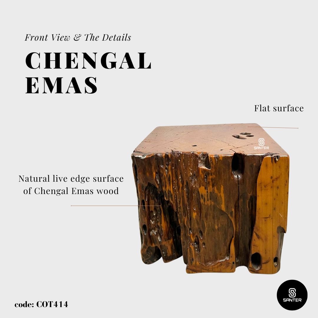 COT414. Chengal Emas Artistic Wood Pedestal/ Wooden Stump / Rustic Stump / Plant Stool / Small Stool