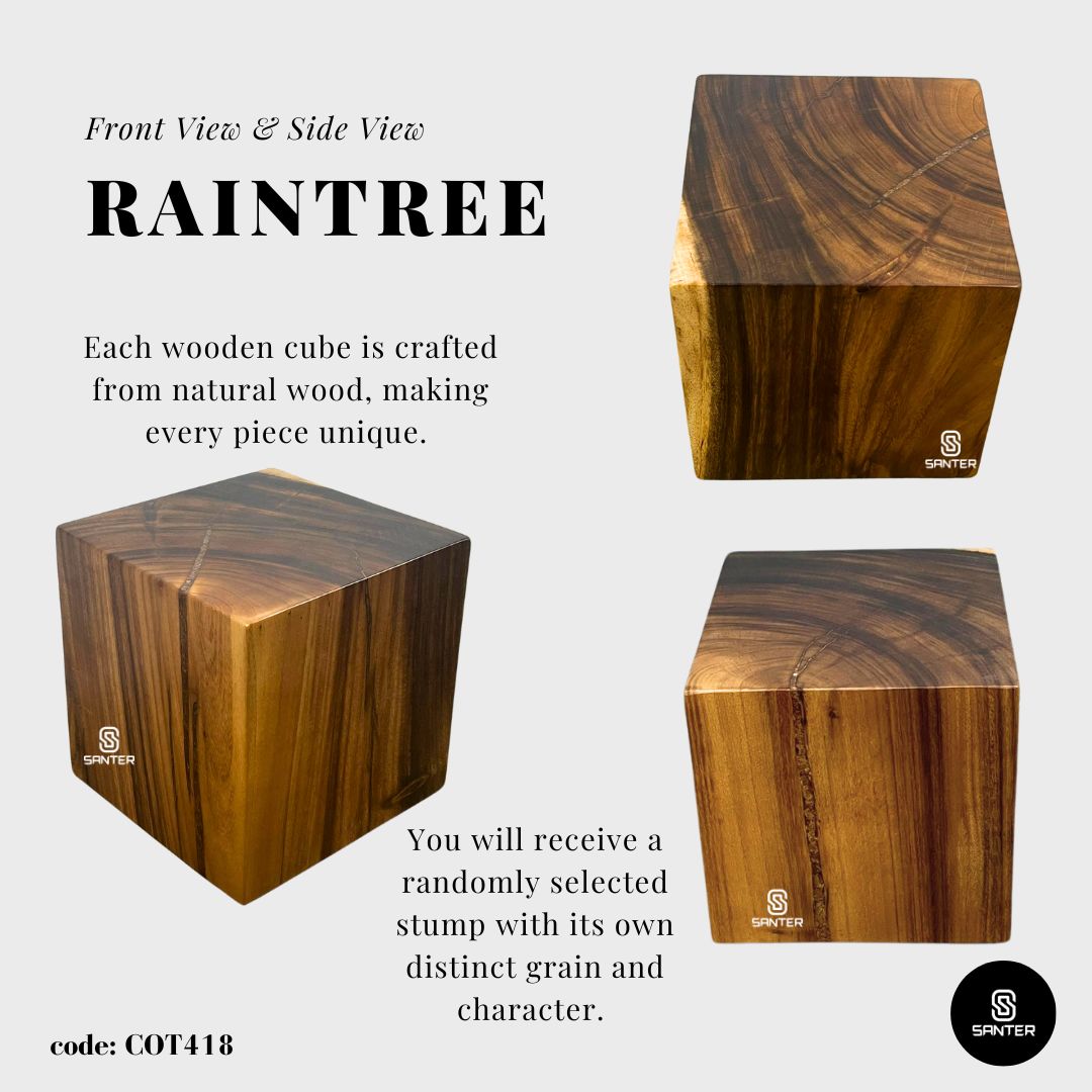 COT418. Raintree Solid Wood Pedestal/ Wooden Stump / Artistic Stump / Plant Stool / Small Stool