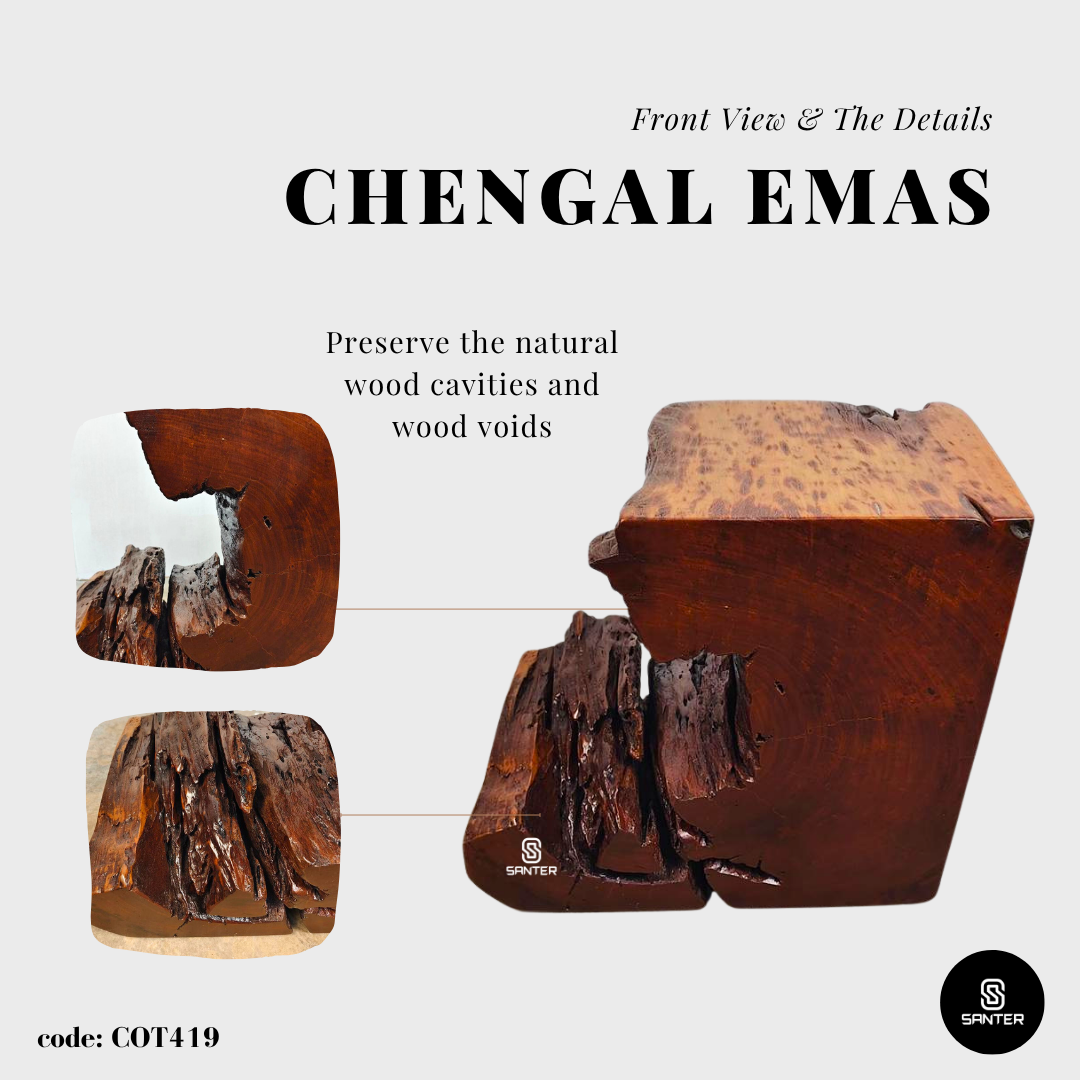 COT419. Chengal Emas Artistic Wood Pedestal/ Wooden Stump / Rustic Stump / Plant Stool