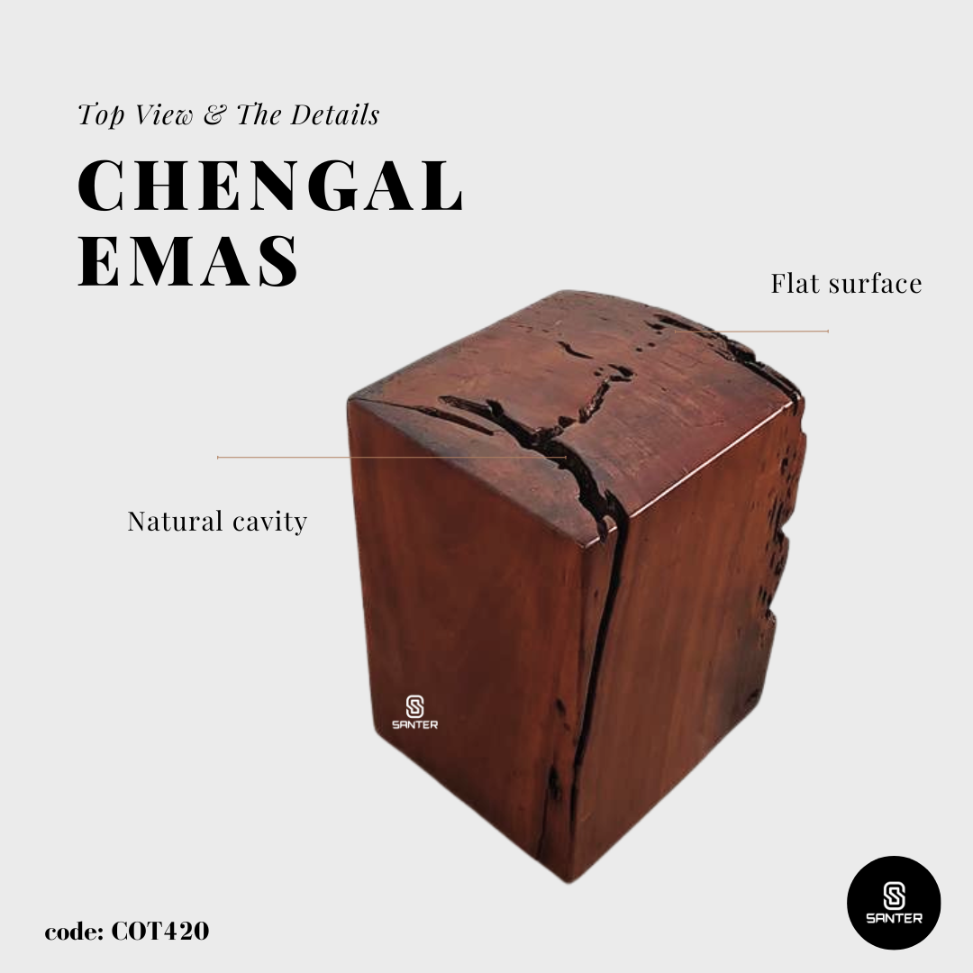 COT420. Chengal Emas Artistic Wood Pedestal/ Wooden Stump / Rustic Stump / Plant Stool