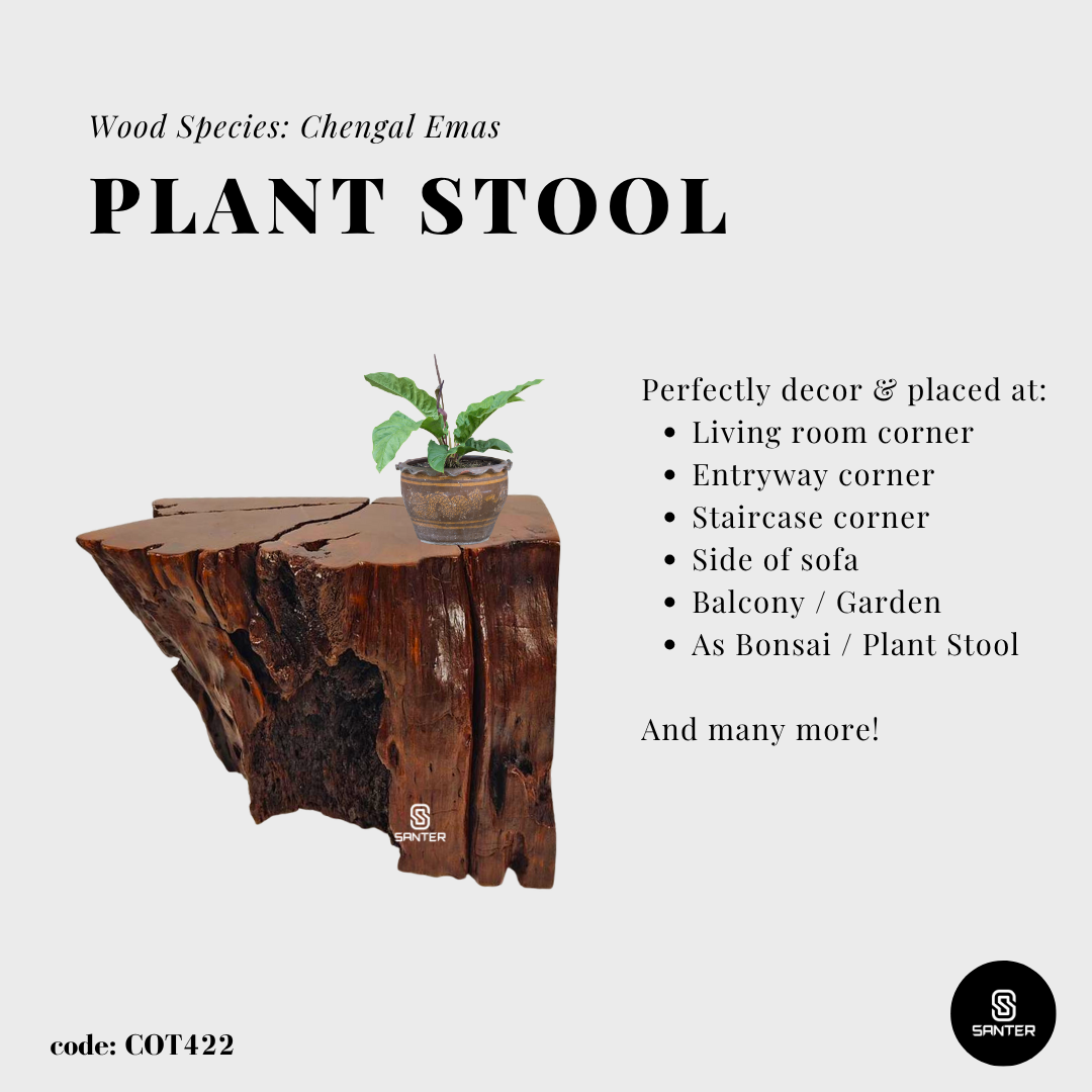 COT422. Chengal Emas Artistic Wood Pedestal/ Wooden Stump / Rustic Stump / Plant Stool