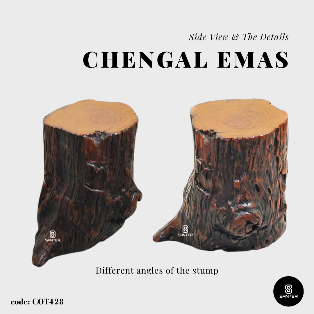 COT428. Chengal Emas Artistic Wood Pedestal/ Wooden Stump / Rustic Stump / Plant Stool