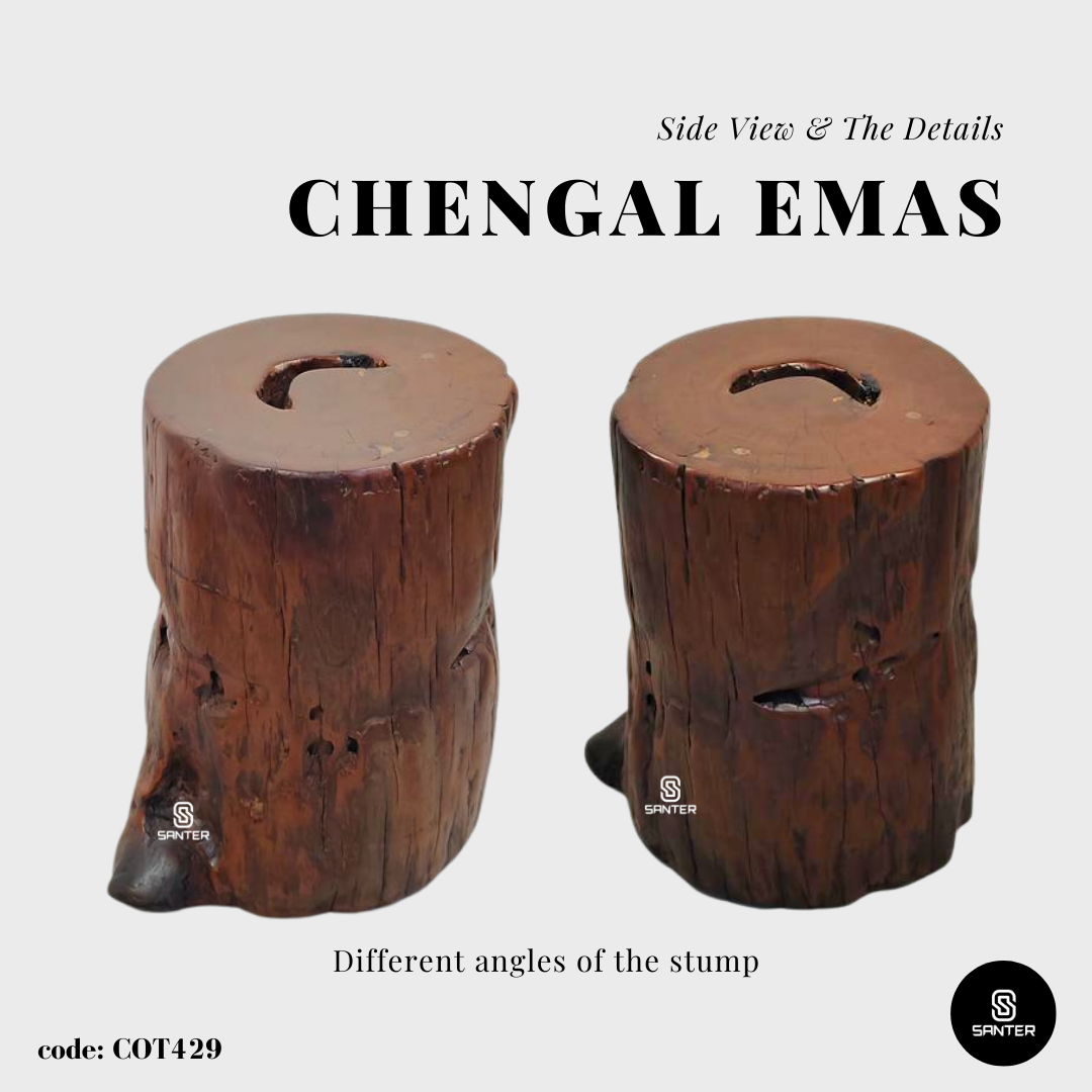 COT429. Chengal Emas Artistic Wood Pedestal/ Wooden Stump / Rustic Stump / Plant Stool