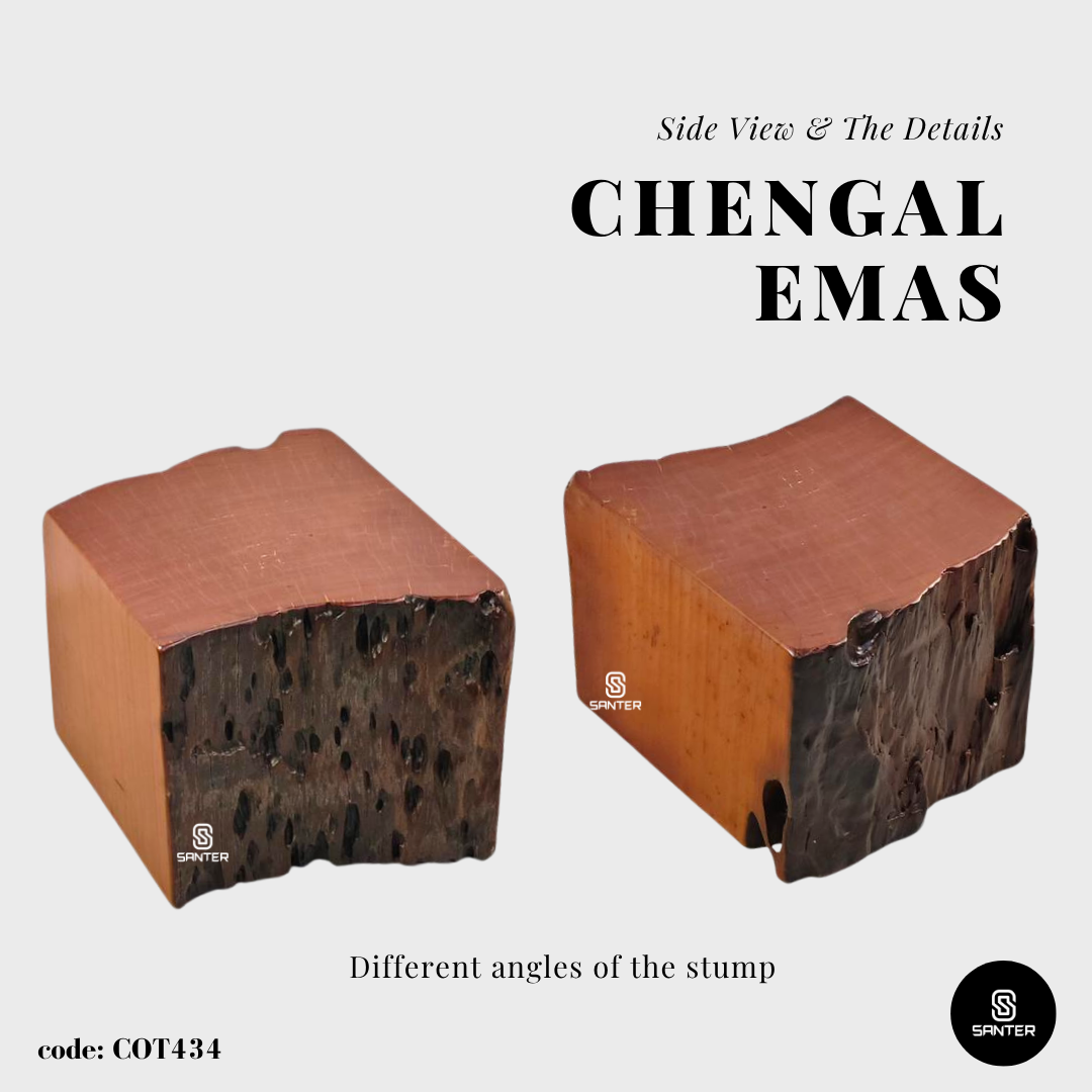 COT434. Chengal Emas Artistic Wood Pedestal/ Wooden Stump / Rustic Stump / Plant Stool