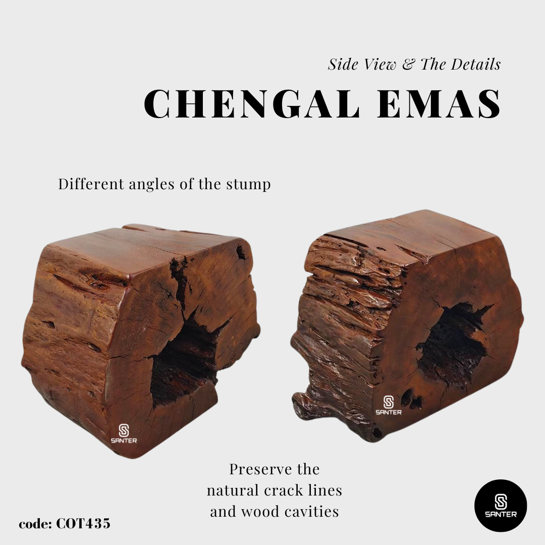 COT435. Chengal Emas Artistic Wood Pedestal/ Wooden Stump / Rustic Stump / Plant Stool