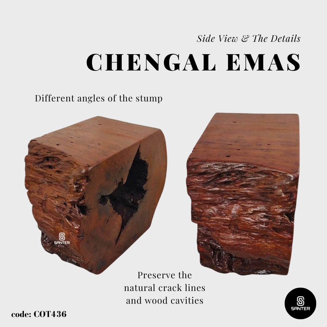 COT436. Chengal Emas Artistic Wood Pedestal/ Wooden Stump / Rustic Stump / Plant Stool