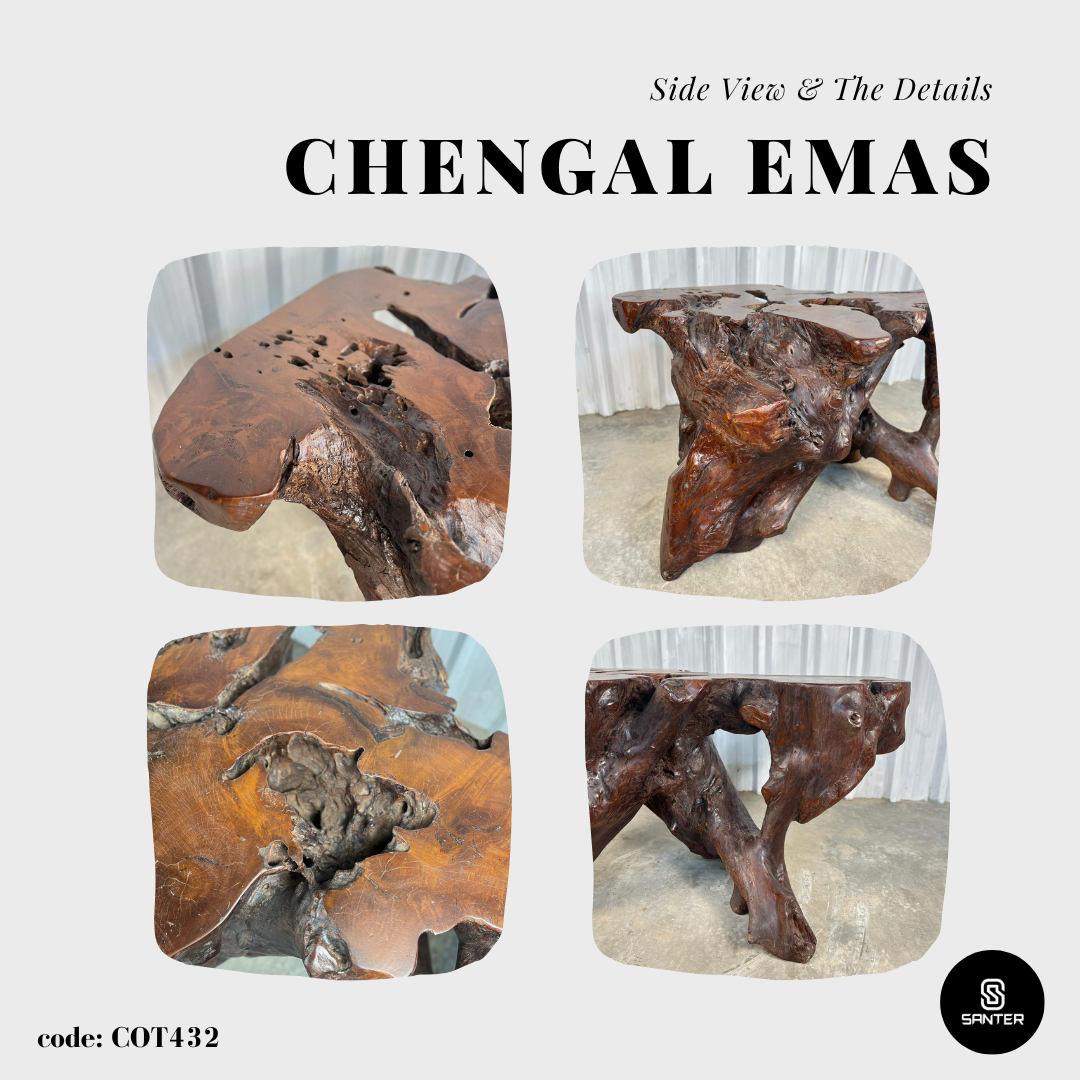COT432. Chengal Emas Artistic Root Console / Artistic Wood Stump / Root Stump