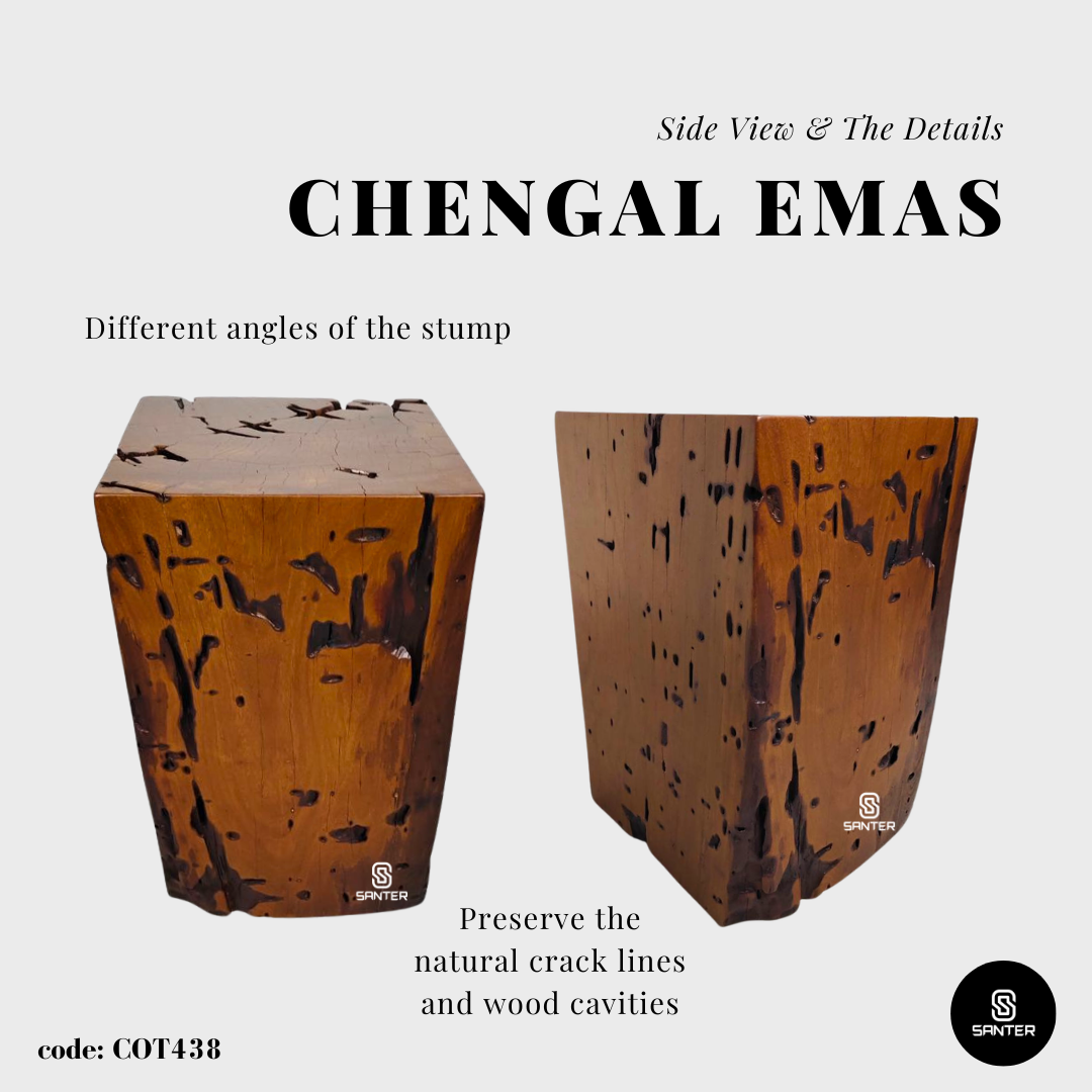 COT438. Chengal Emas Artistic Wood Pedestal/ Stump/ Side Table/ Stool