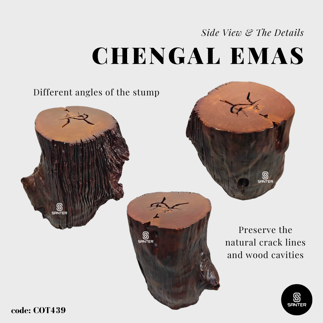 COT439. Chengal Emas Artistic Wood Pedestal/ Stump/ Side Table/ Stool
