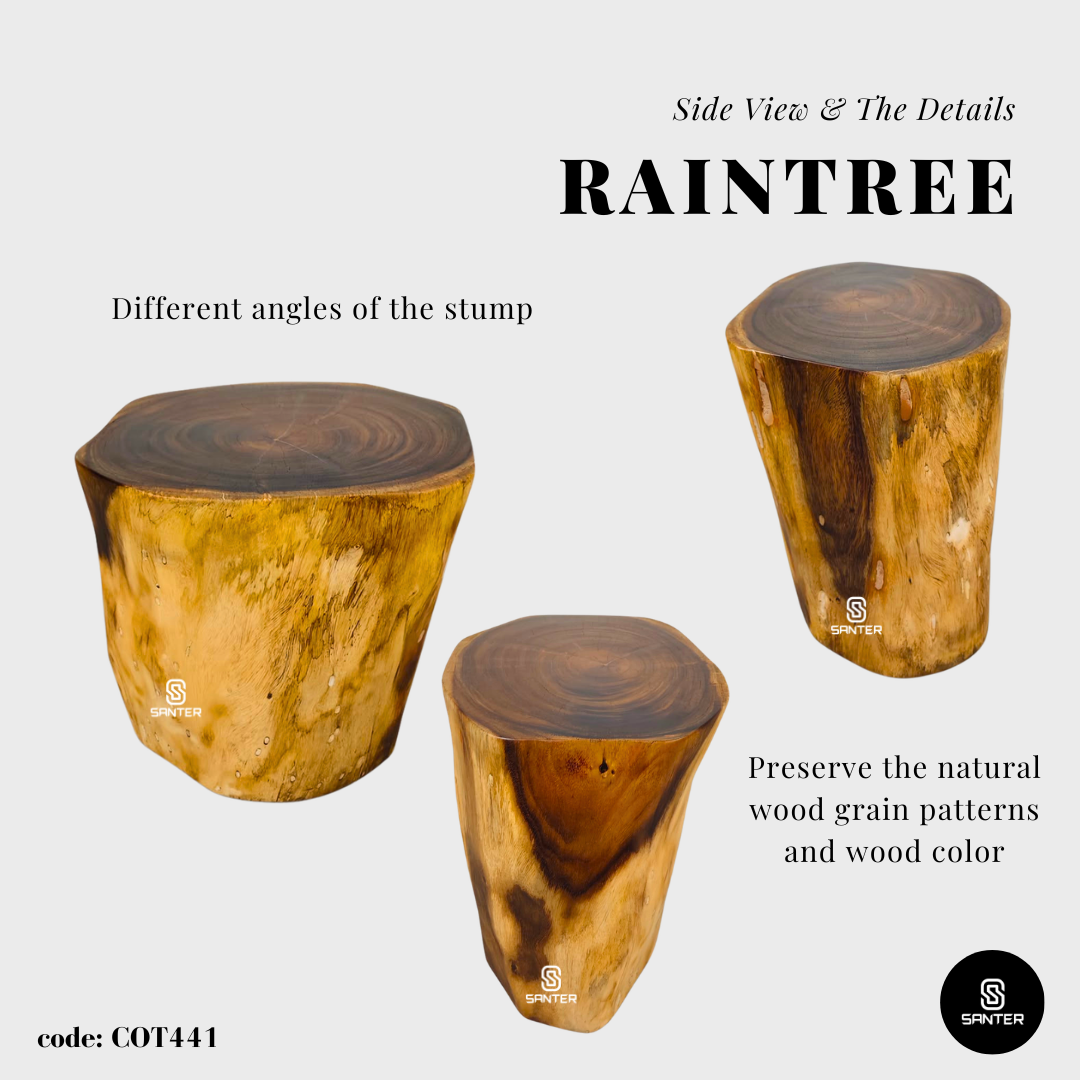 COT441. Raintree Wood Artistic Wood Pedestal/ Stump/ Side Table/ Stool