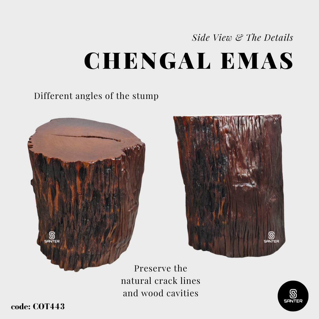 COT443. Chengal Emas Artistic Wood Pedestal/ Stump/ Side Table/ Stool