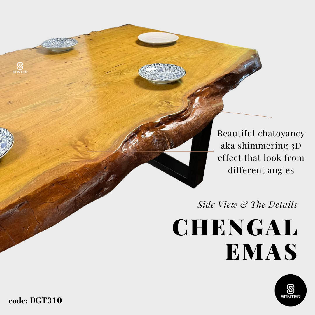 DGT310. Chengal Emas Solid Wood Dining Table / Conference Table (8 to 10 seater)