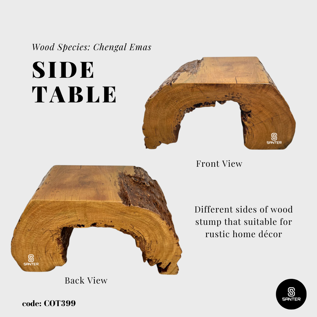 COT399. Chengal Emas Artistic Wood Pedestal/ Stump/ Side Table/ Stool