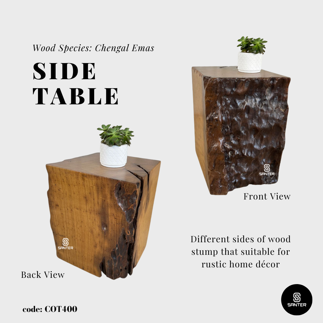 COT400. Chengal Emas Artistic Wood Pedestal/ Stump/ Side Table/ Stool