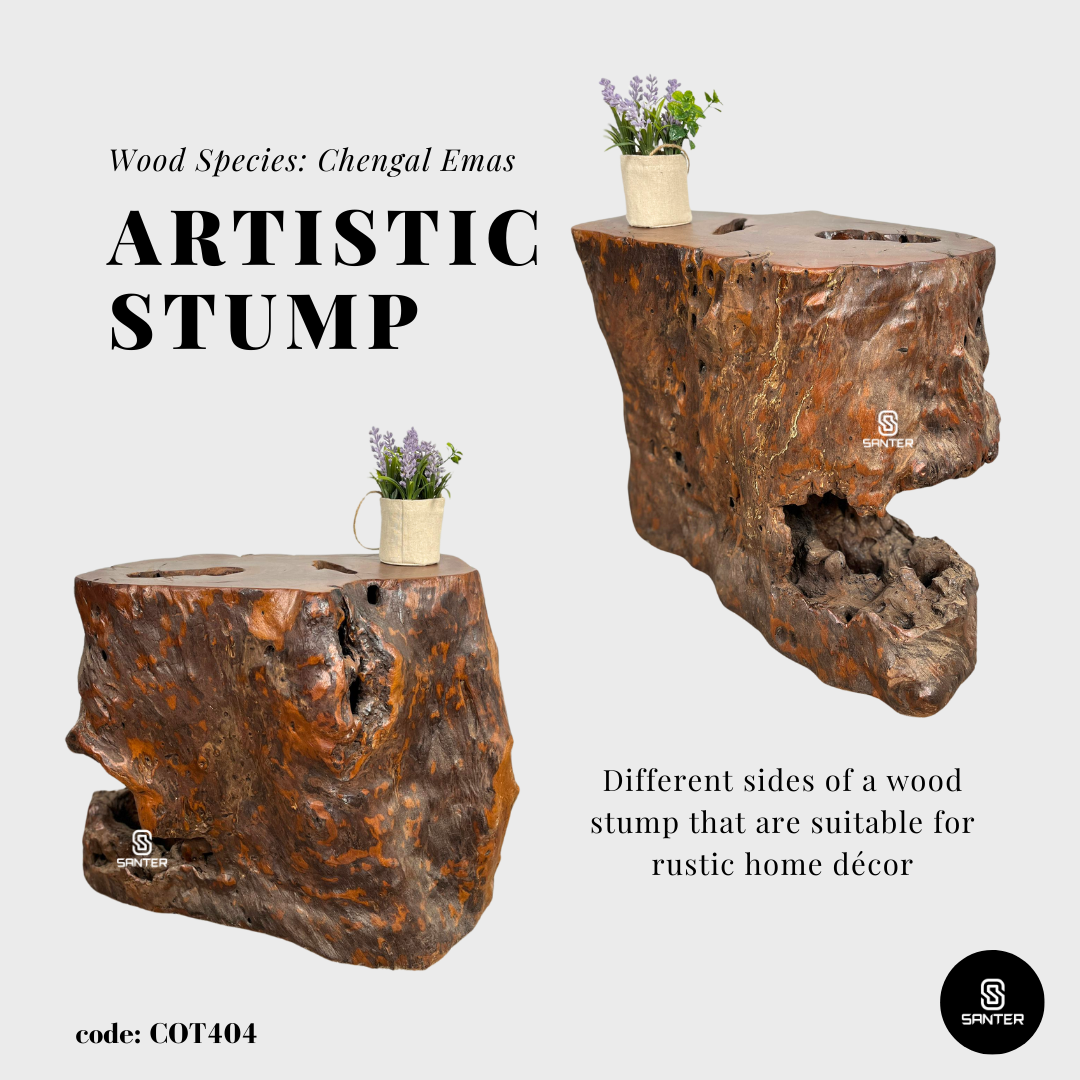 COT404. Chengal Emas Artistic Wood Pedestal/ Wood Stump