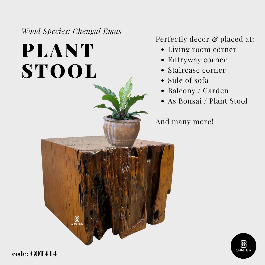 COT414. Chengal Emas Artistic Wood Pedestal/ Wooden Stump / Rustic Stump / Plant Stool / Small Stool