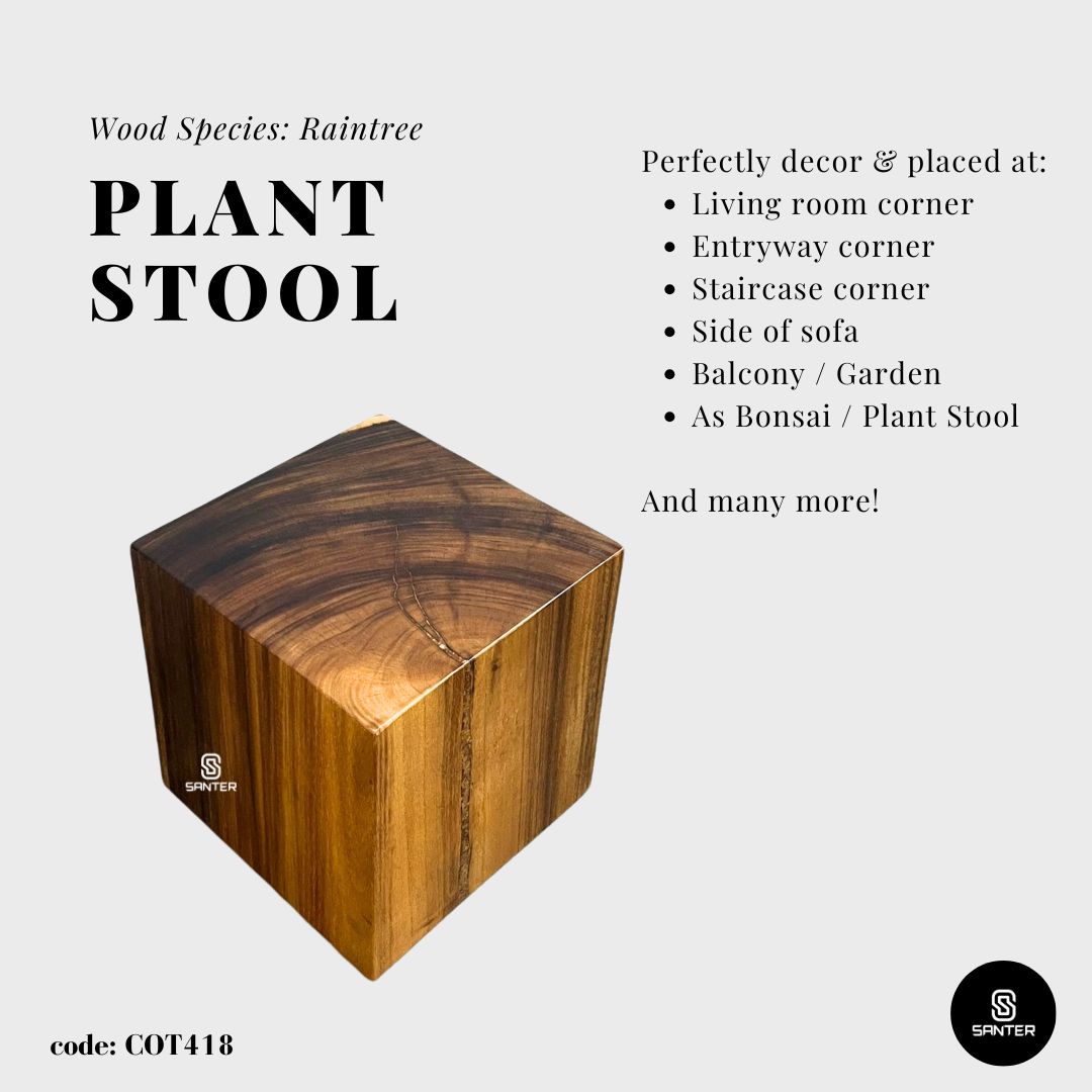 COT418. Raintree Solid Wood Pedestal/ Wooden Stump / Artistic Stump / Plant Stool / Small Stool