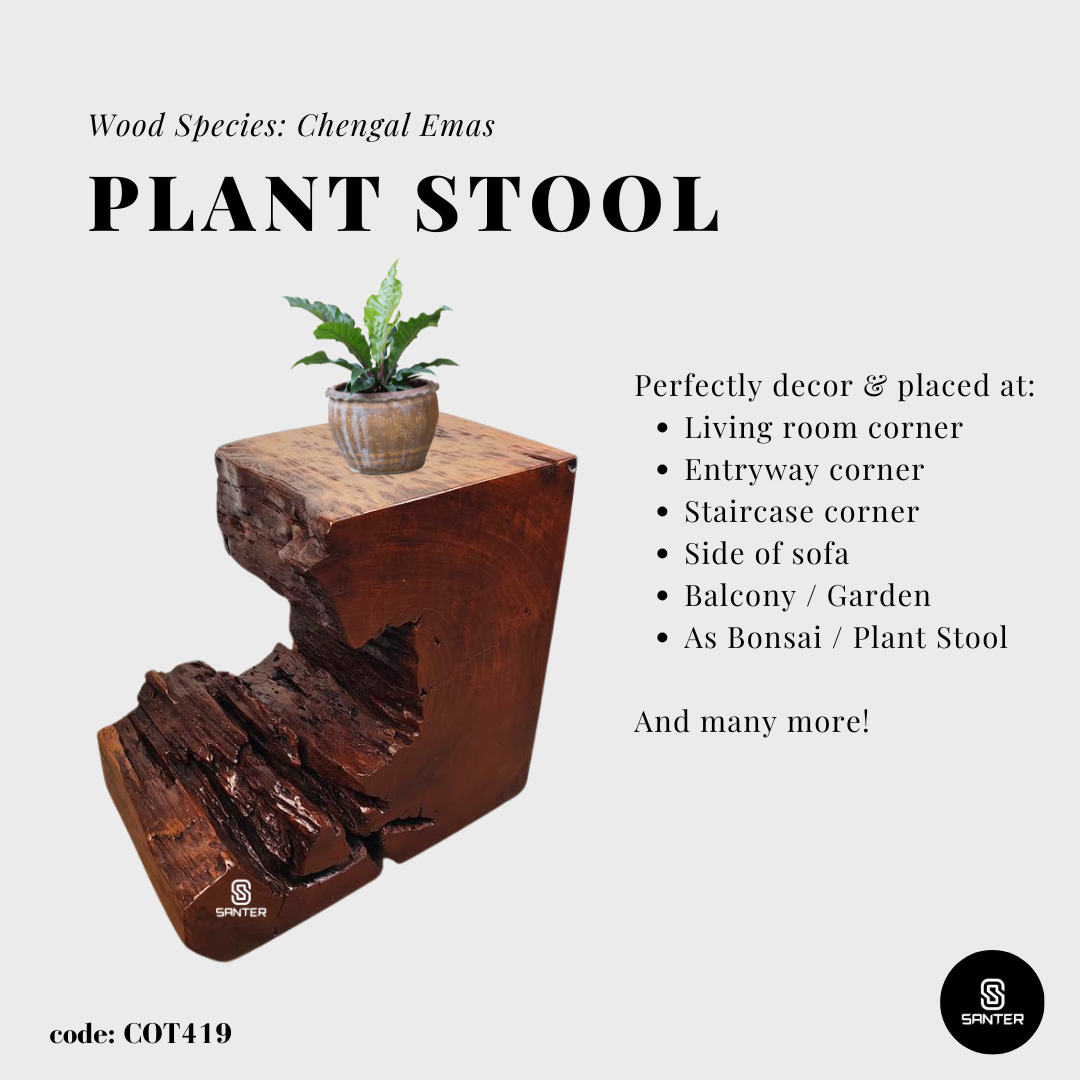COT419. Chengal Emas Artistic Wood Pedestal/ Wooden Stump / Rustic Stump / Plant Stool