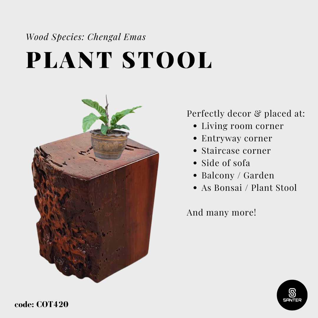 COT420. Chengal Emas Artistic Wood Pedestal/ Wooden Stump / Rustic Stump / Plant Stool
