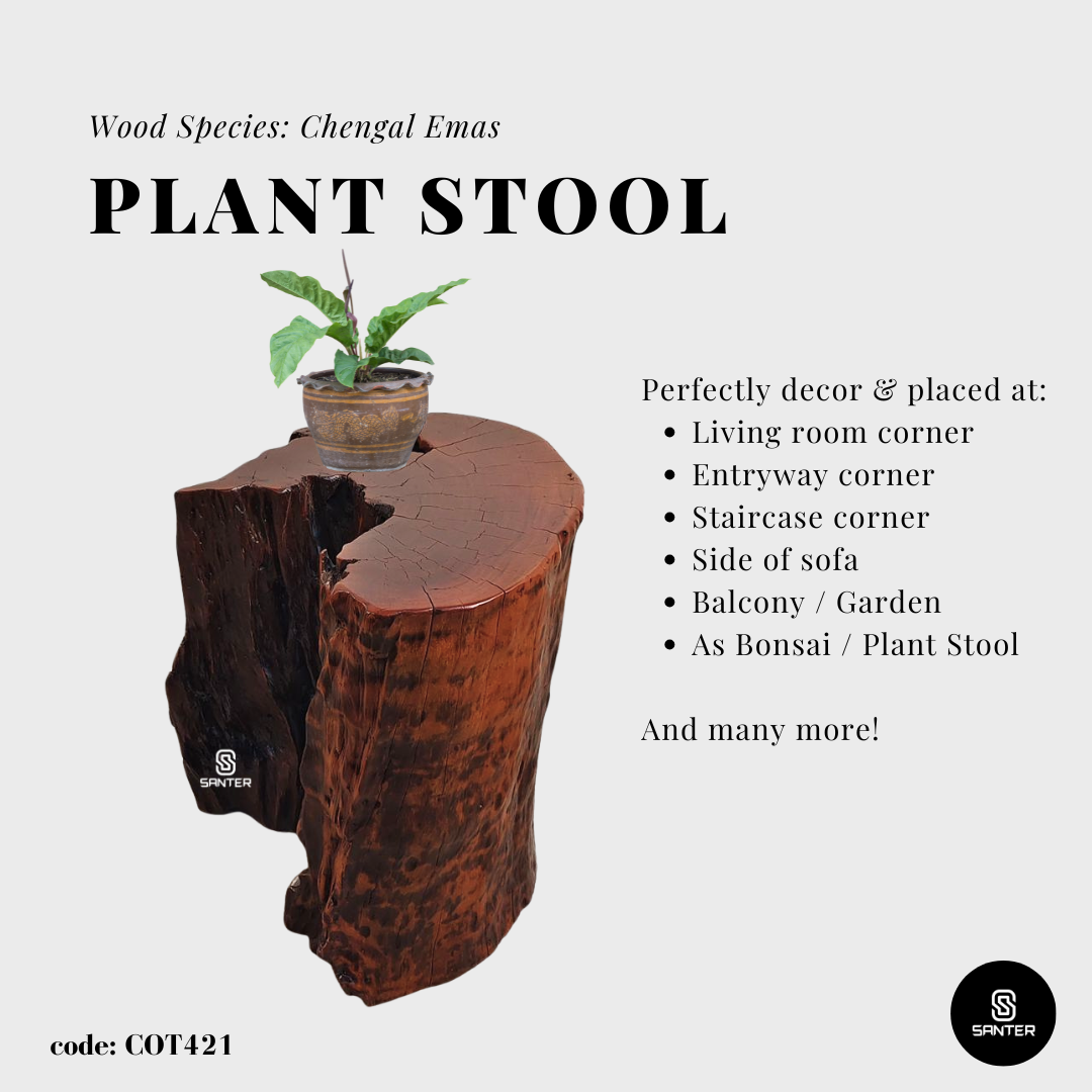 COT421. Chengal Emas Artistic Wood Pedestal/ Wooden Stump / Rustic Stump / Plant Stool