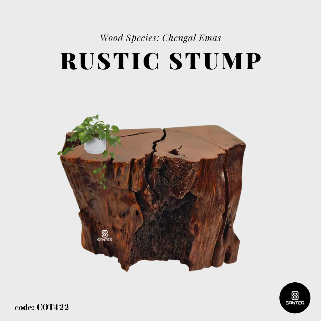 COT422. Chengal Emas Artistic Wood Pedestal/ Wooden Stump / Rustic Stump / Plant Stool