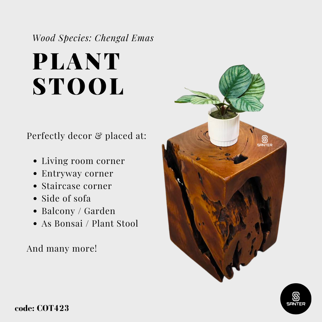 COT423. Chengal Emas Artistic Wood Pedestal/ Wooden Stump / Rustic Stump / Plant Stool