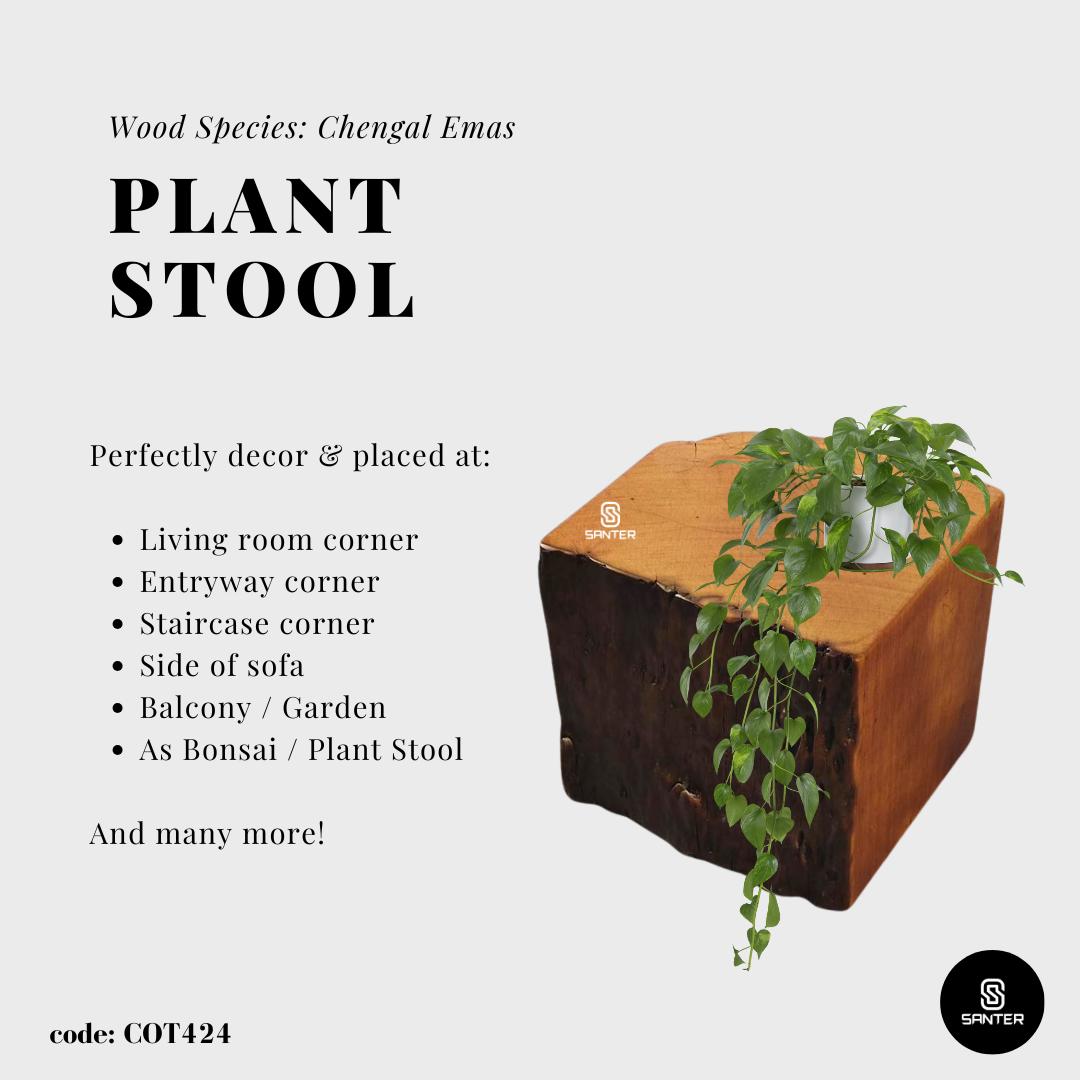 COT424. Chengal Emas Artistic Wood Pedestal/ Wooden Stump / Rustic Stump / Plant Stool