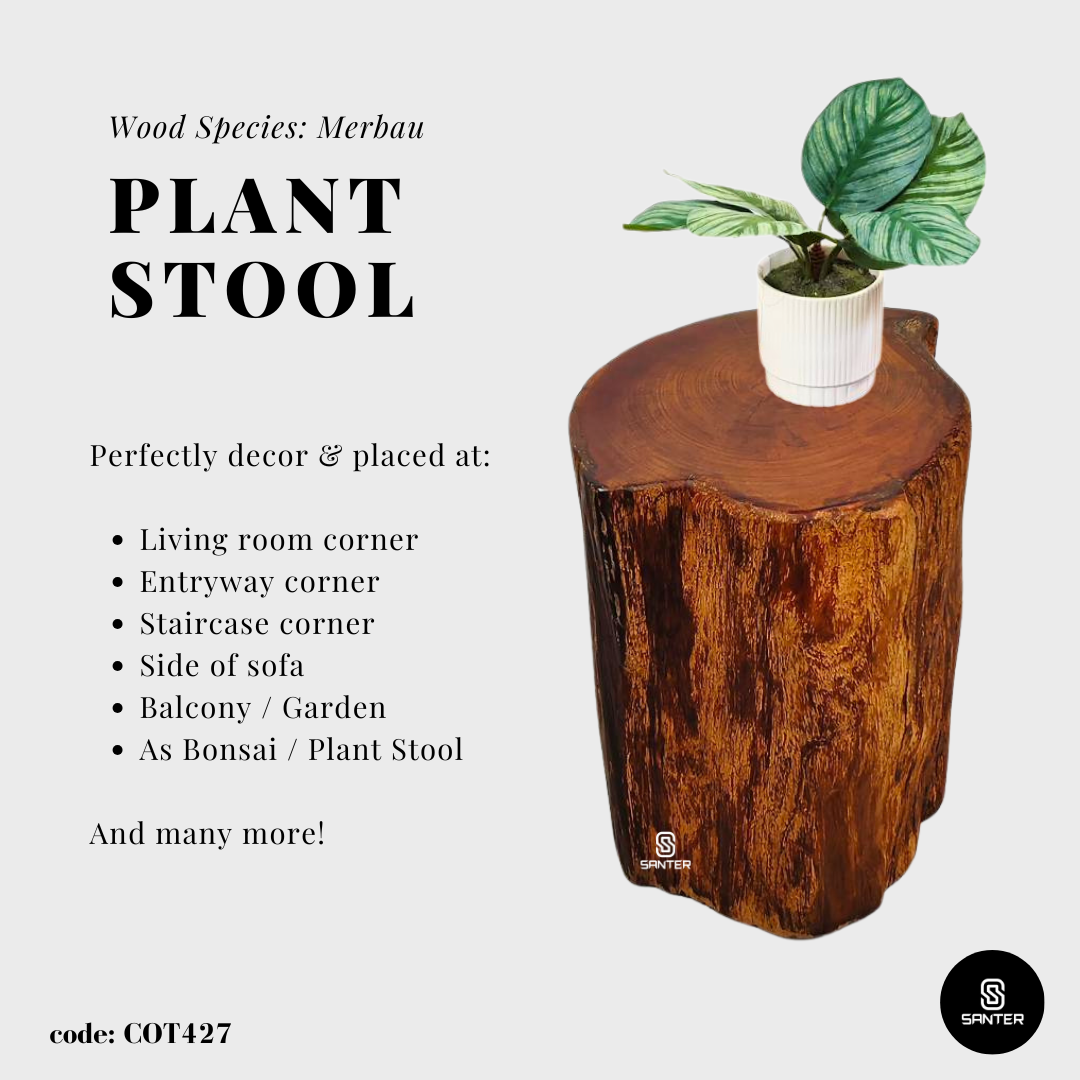 COT427. Merbau Wood Artistic Wood Pedestal/ Wooden Stump / Rustic Stump / Plant Stool