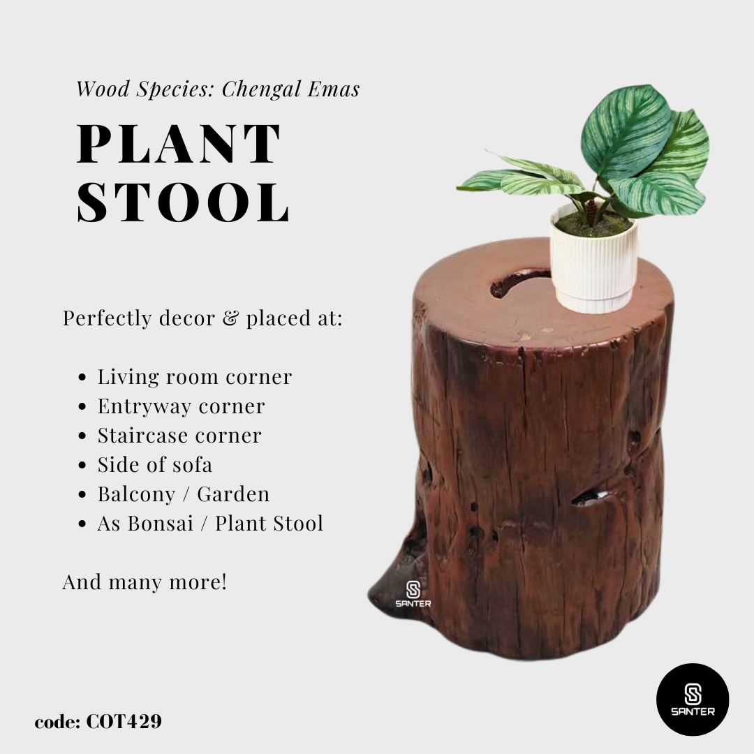 COT429. Chengal Emas Artistic Wood Pedestal/ Wooden Stump / Rustic Stump / Plant Stool