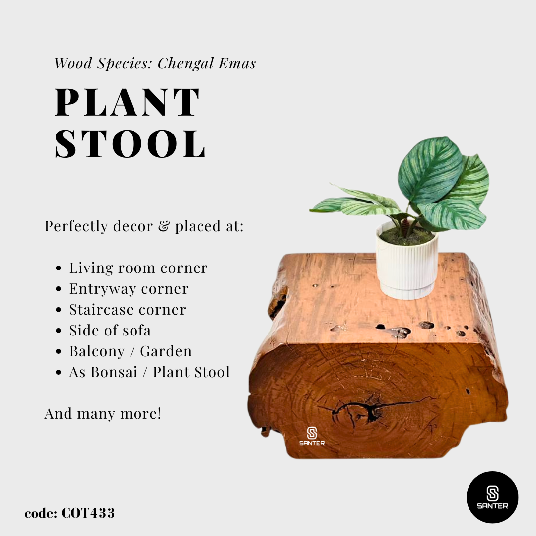 COT433. Chengal Emas Artistic Wood Pedestal/ Wooden Stump / Rustic Stump / Plant Stool