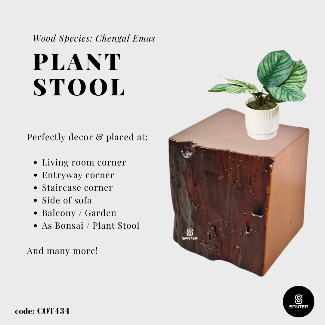 COT434. Chengal Emas Artistic Wood Pedestal/ Wooden Stump / Rustic Stump / Plant Stool