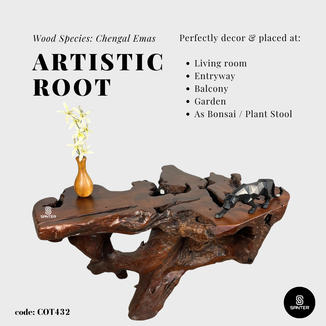 COT432. Chengal Emas Artistic Root Console / Artistic Wood Stump / Root Stump