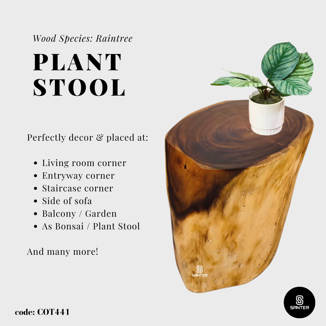 COT441. Raintree Wood Artistic Wood Pedestal/ Stump/ Side Table/ Stool