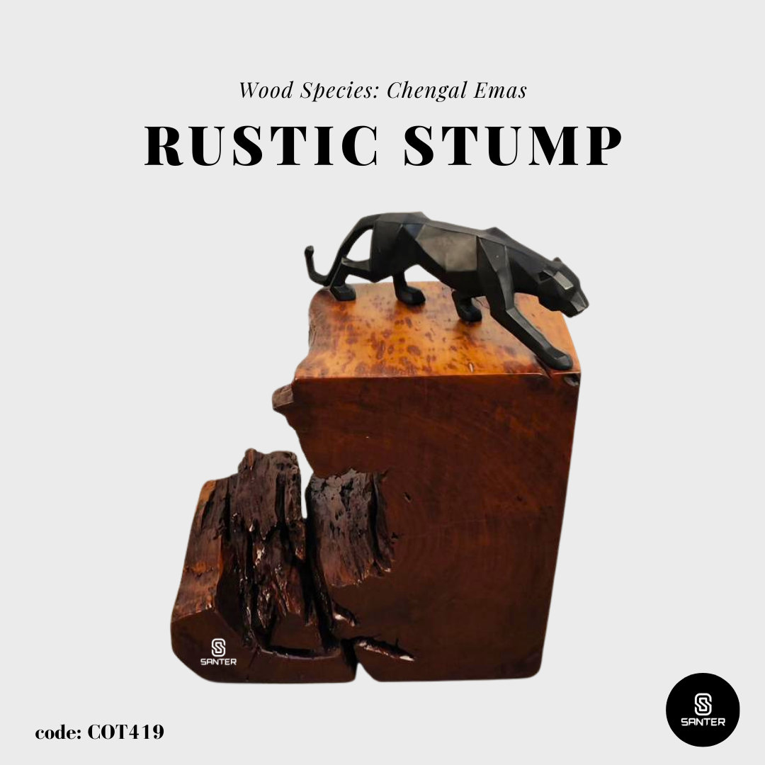 COT419. Chengal Emas Artistic Wood Pedestal/ Wooden Stump / Rustic Stump / Plant Stool
