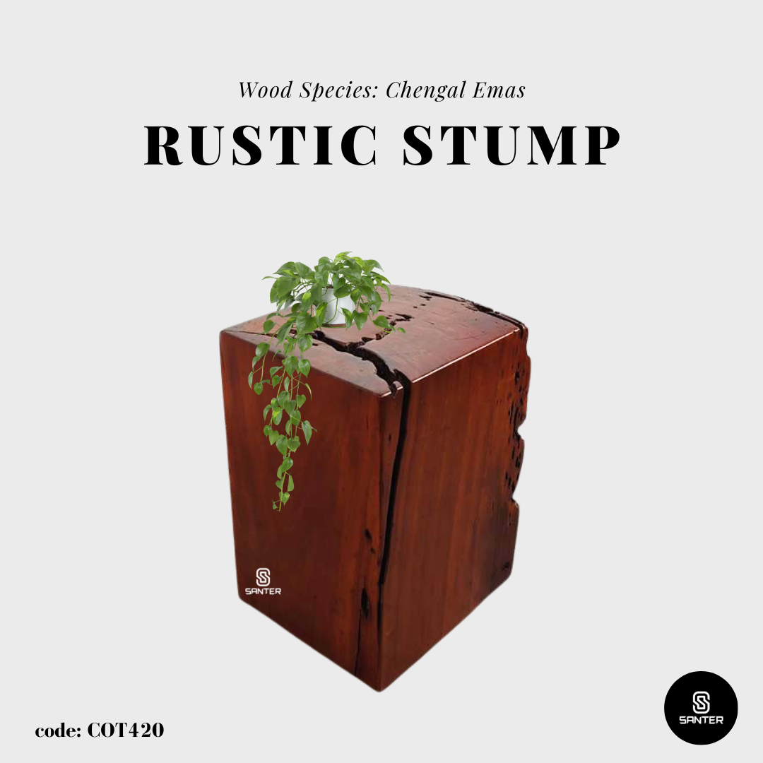COT420. Chengal Emas Artistic Wood Pedestal/ Wooden Stump / Rustic Stump / Plant Stool