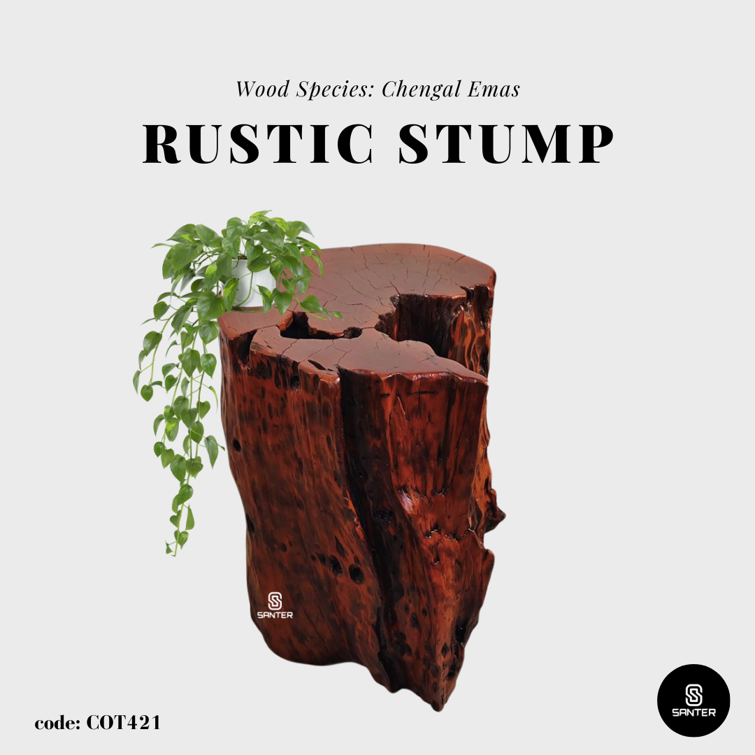 COT421. Chengal Emas Artistic Wood Pedestal/ Wooden Stump / Rustic Stump / Plant Stool