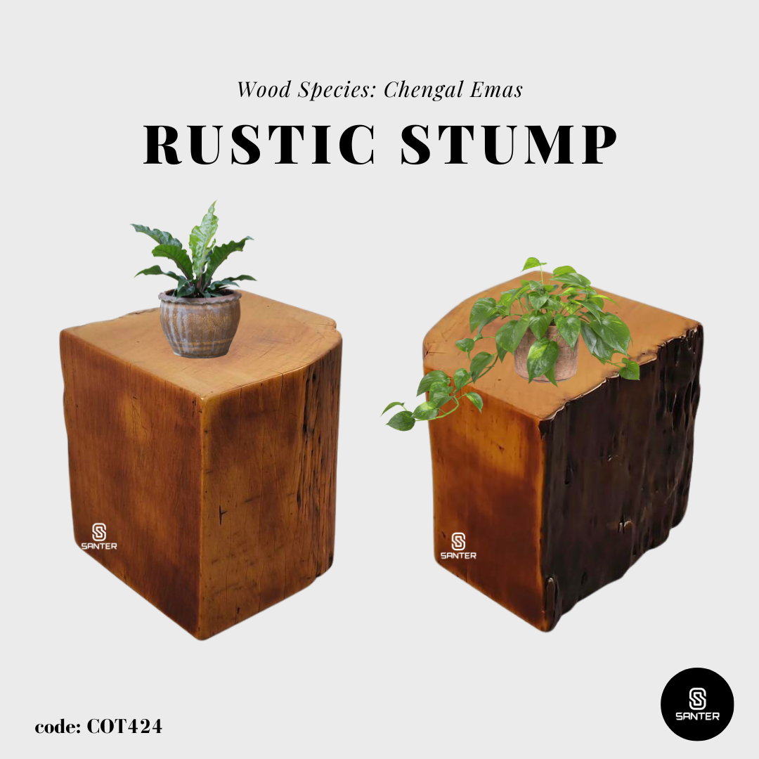 COT424. Chengal Emas Artistic Wood Pedestal/ Wooden Stump / Rustic Stump / Plant Stool