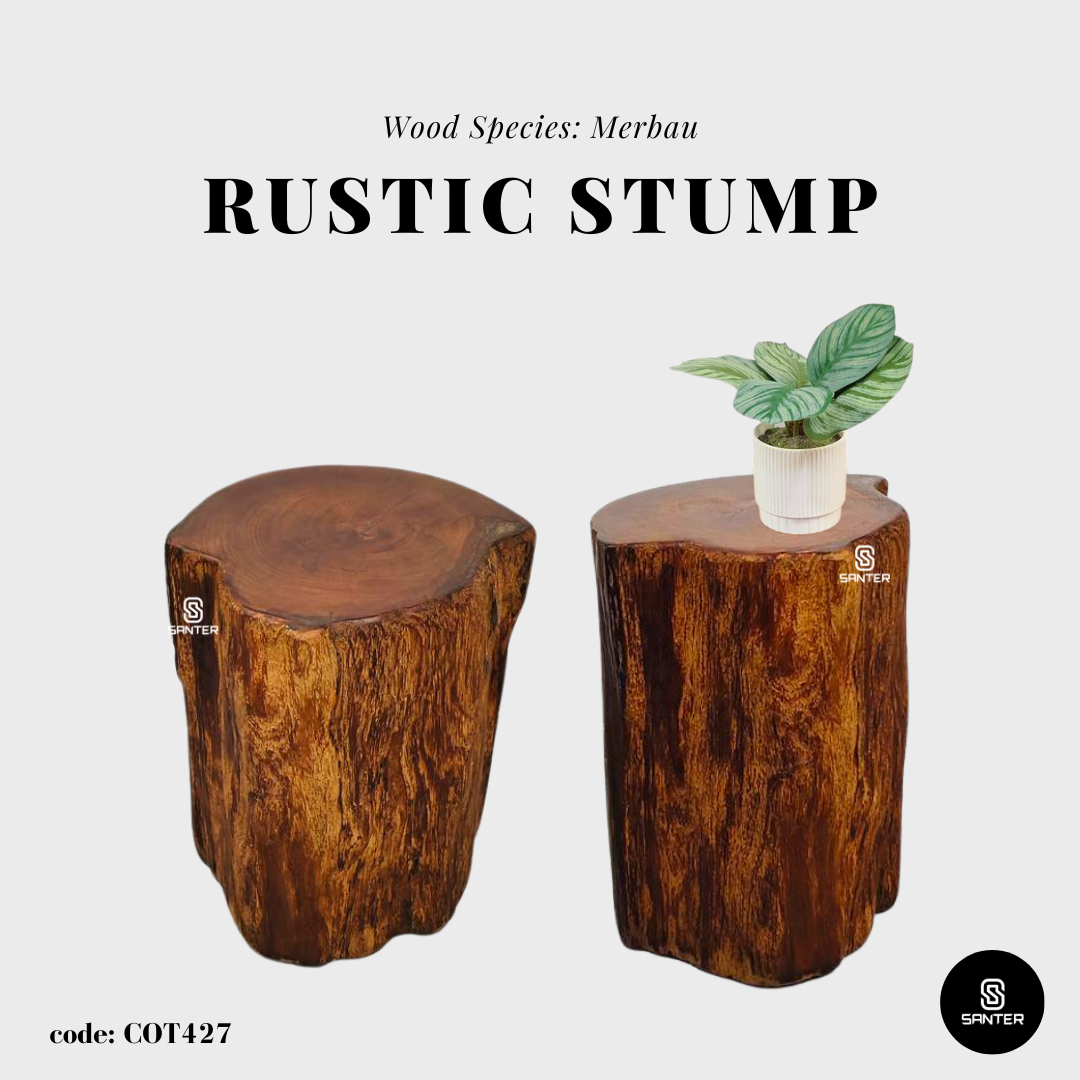 COT427. Merbau Wood Artistic Wood Pedestal/ Wooden Stump / Rustic Stump / Plant Stool