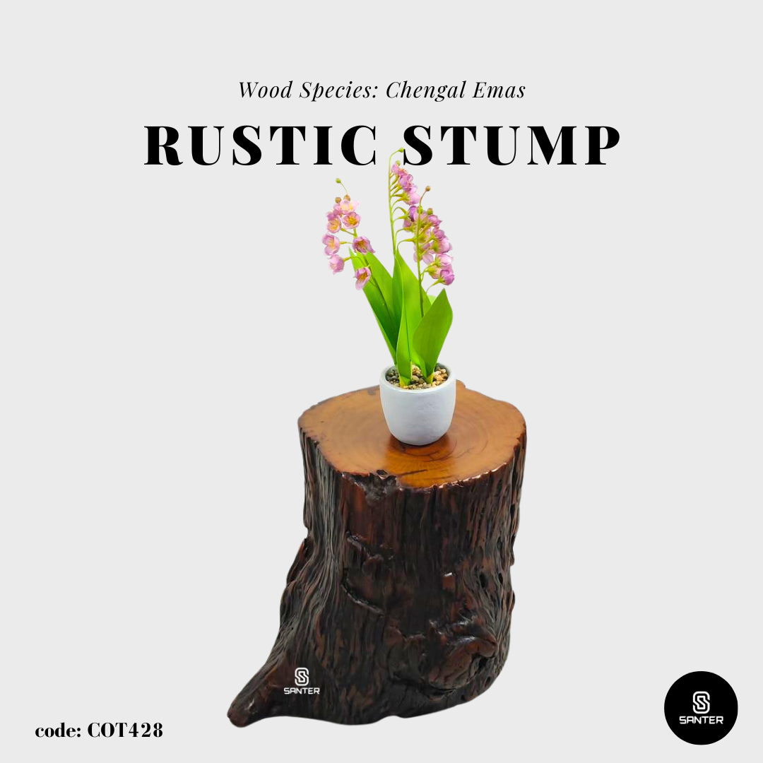 COT428. Chengal Emas Artistic Wood Pedestal/ Wooden Stump / Rustic Stump / Plant Stool