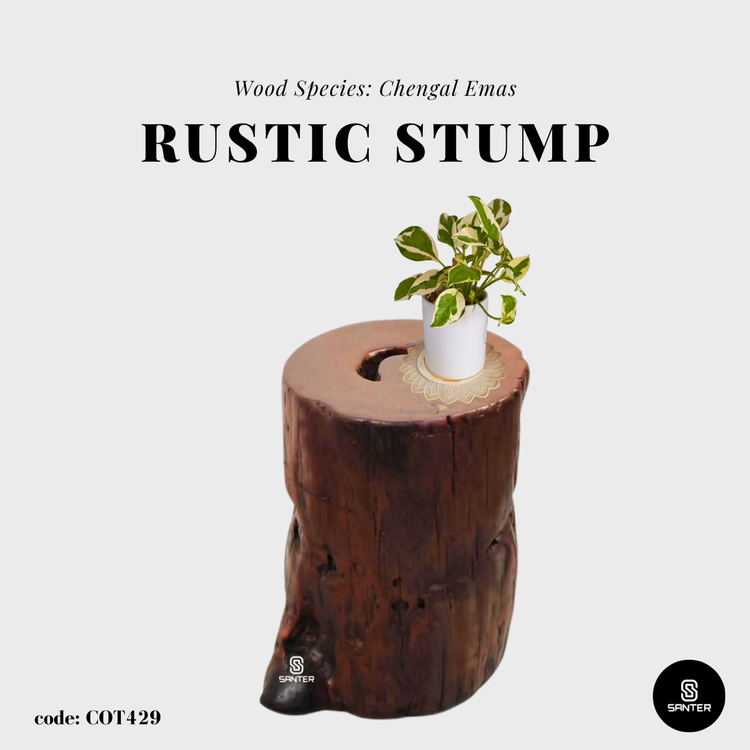 COT429. Chengal Emas Artistic Wood Pedestal/ Wooden Stump / Rustic Stump / Plant Stool