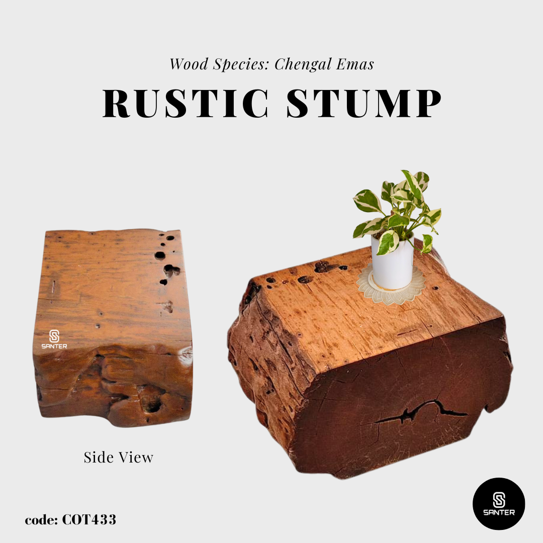 COT433. Chengal Emas Artistic Wood Pedestal/ Wooden Stump / Rustic Stump / Plant Stool