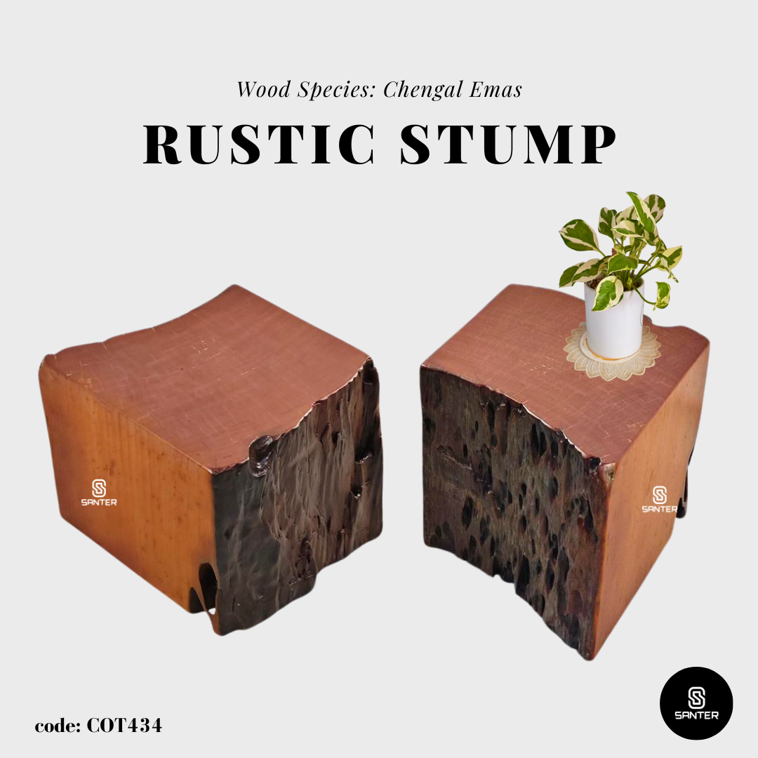 COT434. Chengal Emas Artistic Wood Pedestal/ Wooden Stump / Rustic Stump / Plant Stool