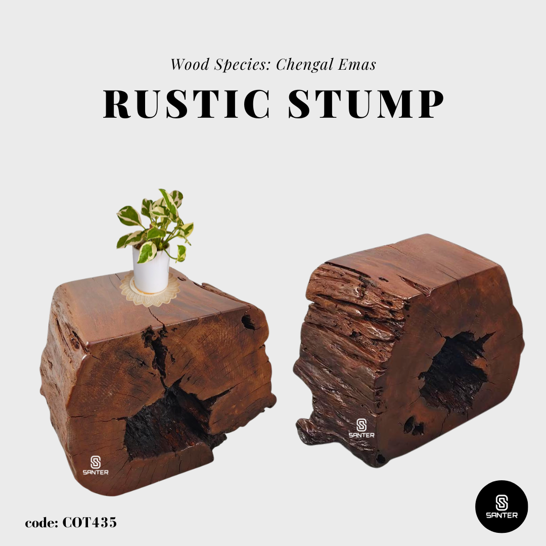 COT435. Chengal Emas Artistic Wood Pedestal/ Wooden Stump / Rustic Stump / Plant Stool