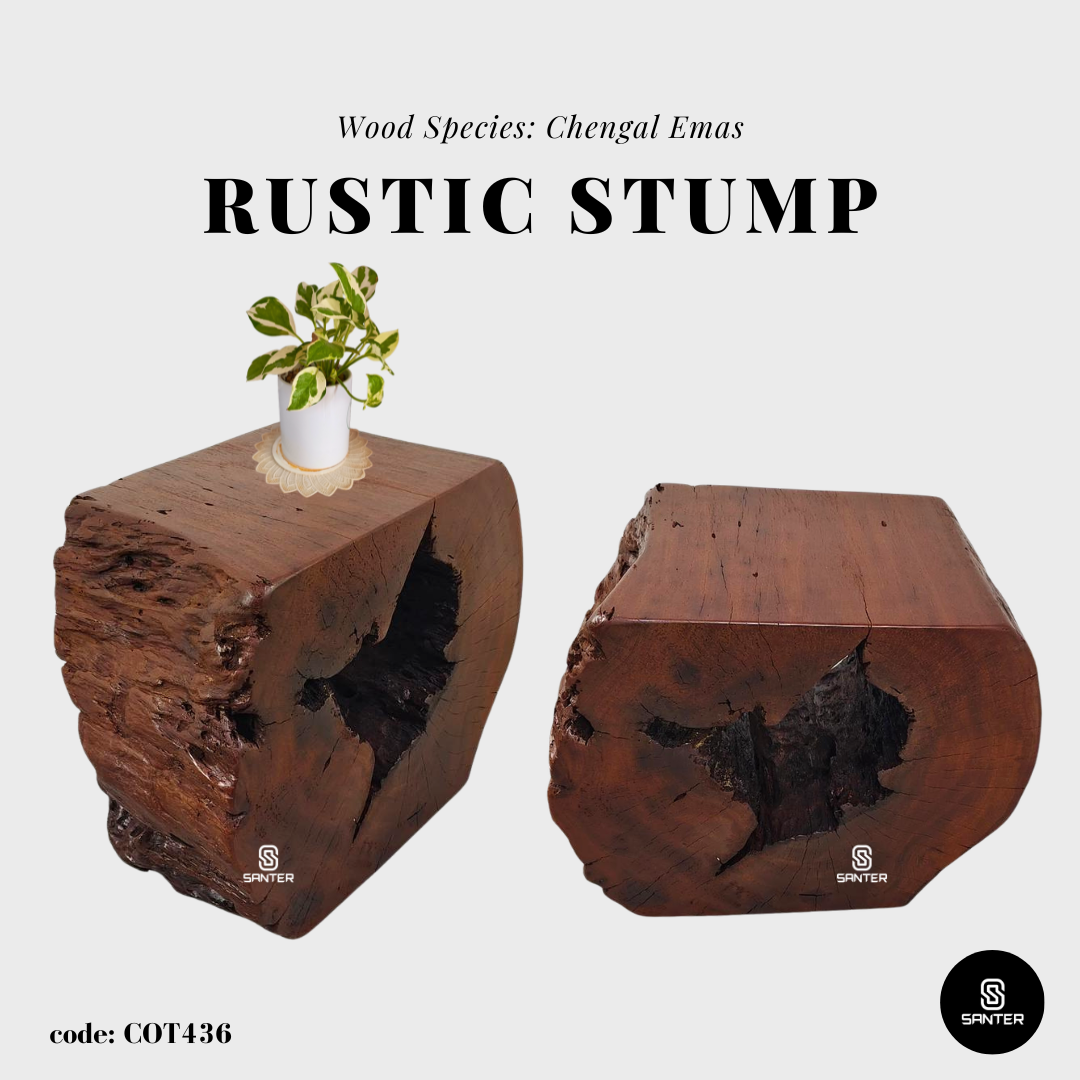 COT436. Chengal Emas Artistic Wood Pedestal/ Wooden Stump / Rustic Stump / Plant Stool