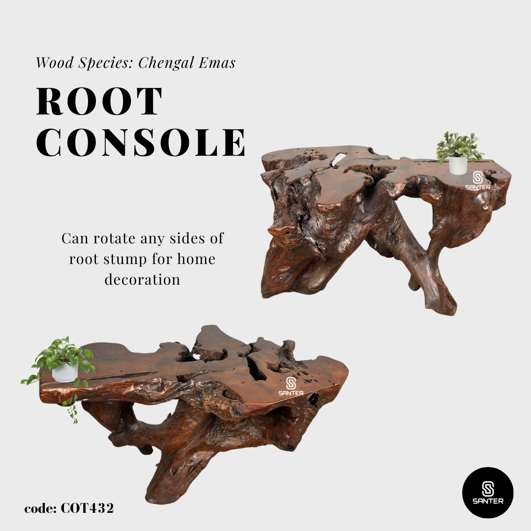 COT432. Chengal Emas Artistic Root Console / Artistic Wood Stump / Root Stump