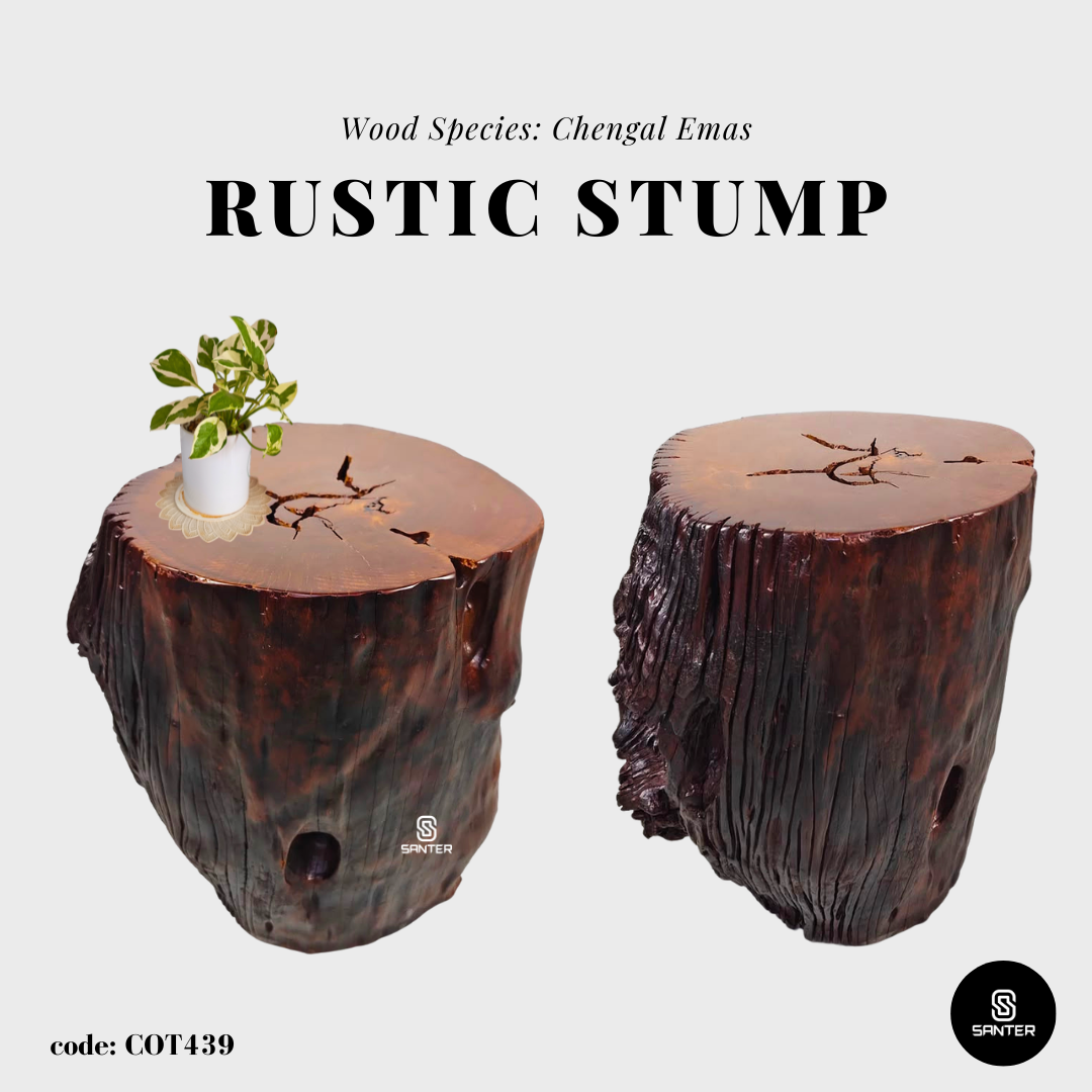 COT439. Chengal Emas Artistic Wood Pedestal/ Stump/ Side Table/ Stool